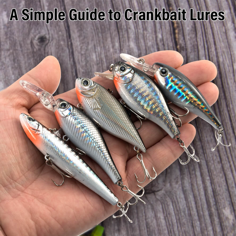 crank fishing lures malaysia HERCULES Micro Crankbaits Cute Set Hard Bait Box of 5pcs  HERCULES Fishing Tackle The new CT1.5/2.5 squarebill crankbait features a high float body for deflecting covers better and triggering more bites Shad Crankbait Slow Sinking -