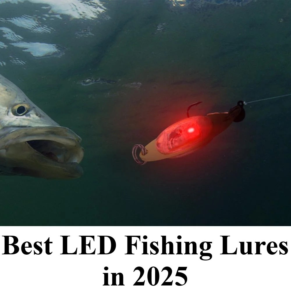 do led lights fishing lure works DUNKTEAM Deep Drop Underwater Light, Fish Eye Lighted Bait, Deep Sea Fishing Lures Kit, Underwater Flasher Lures 5PCS : Sports & Outdoors All Saltwater Tips Glow-in-the-Dark Tape for Fishing Jigs