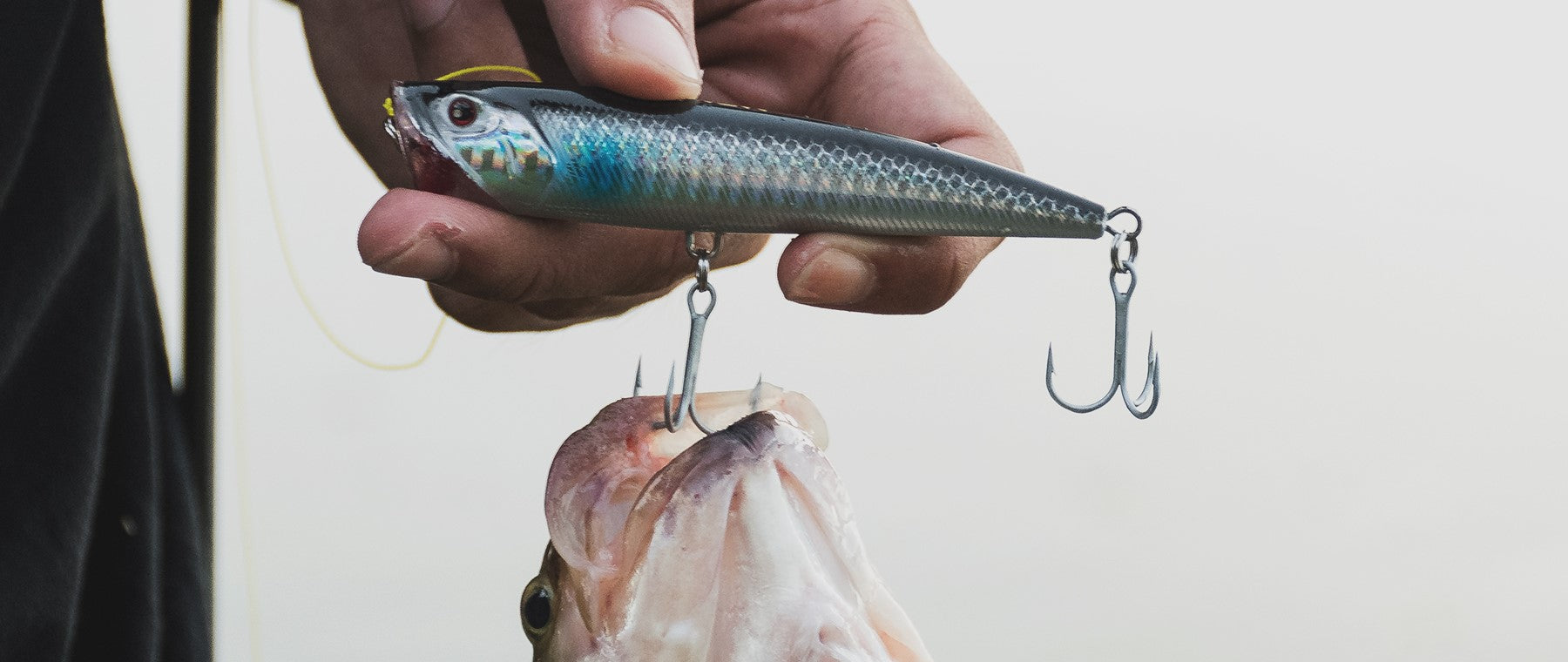 Fishing Lures