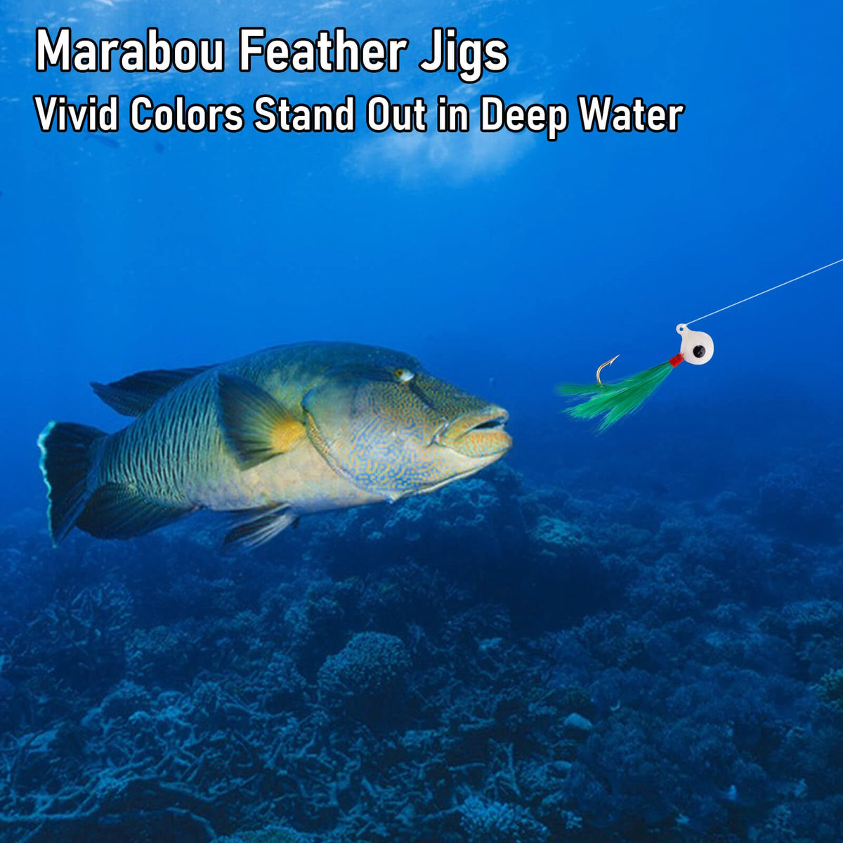 Dr.Fish_Marabou_Crappie_Jigs