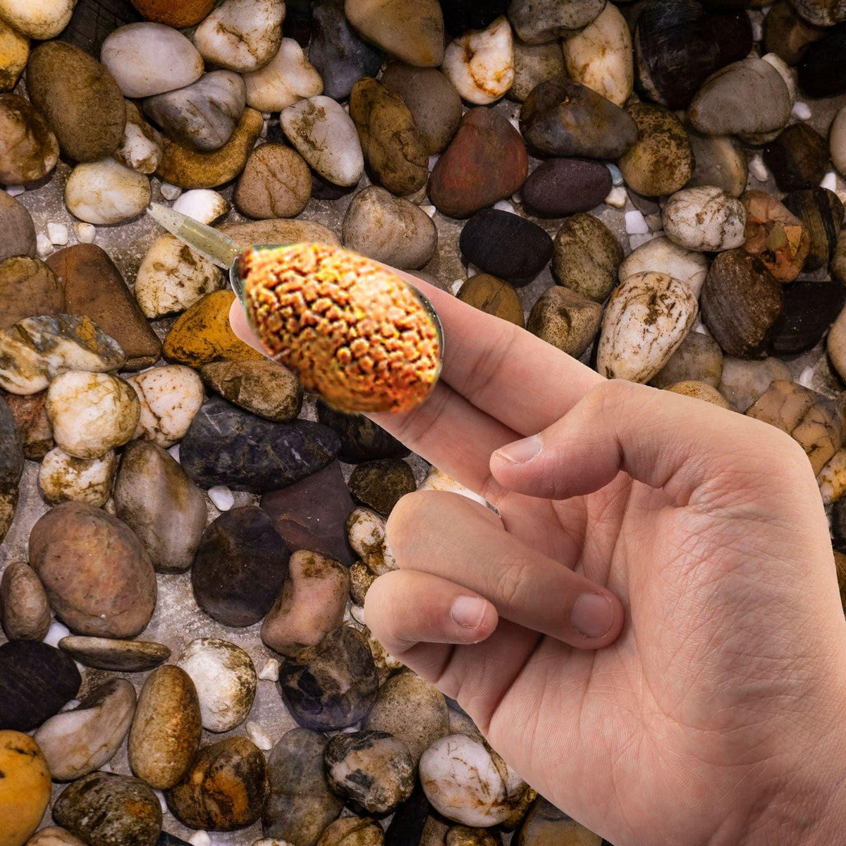 Dr.Fish 3pcs  Fishing Method Feeders 25-45g - Dr.Fish Tackles