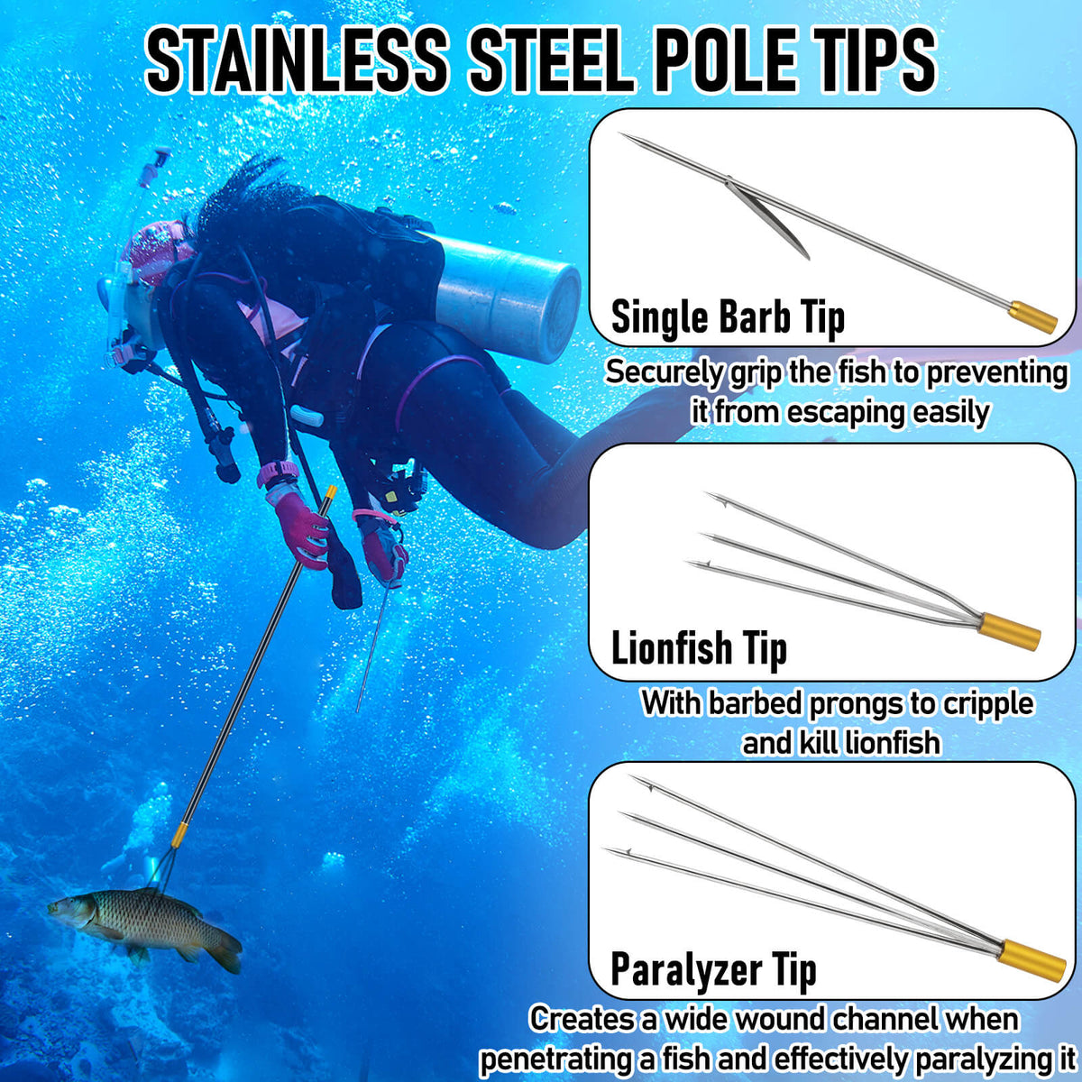 Dr.Fish Travel Spearfishing Fishing Stringer Kit
