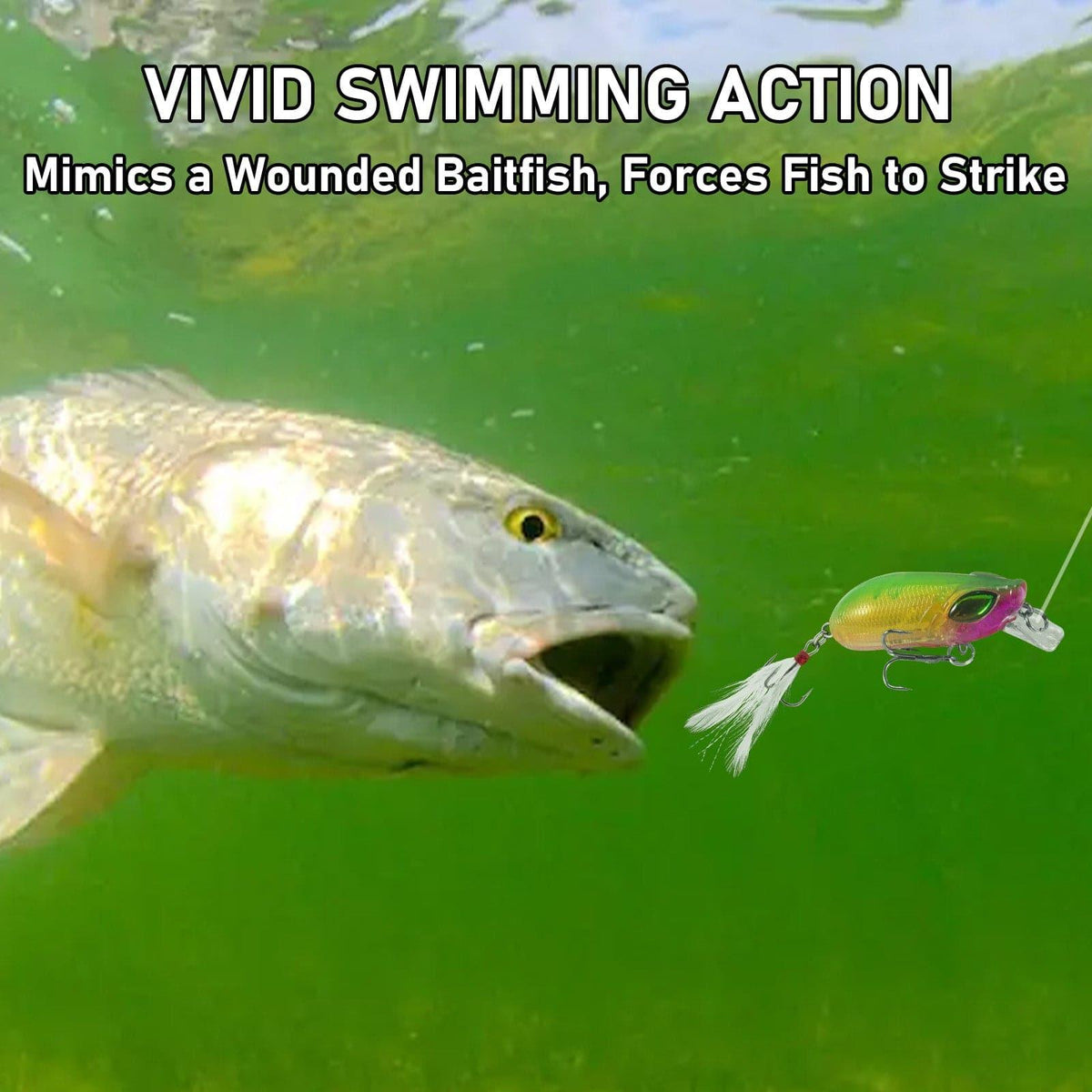 Dr.Fish 5pcs Minnow Crankbaits Fishing Lure 2.4'' - Dr.Fish Tackles