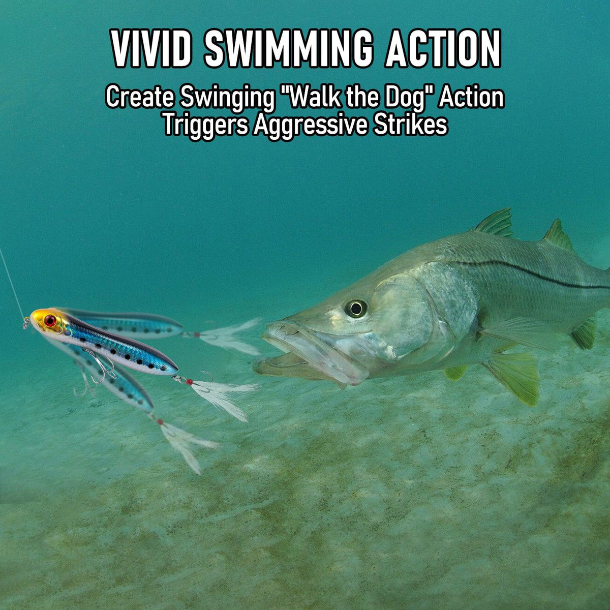 Dr.Fish 6pcs Topwater Fishing Lures 4'' - Dr.Fish Tackles