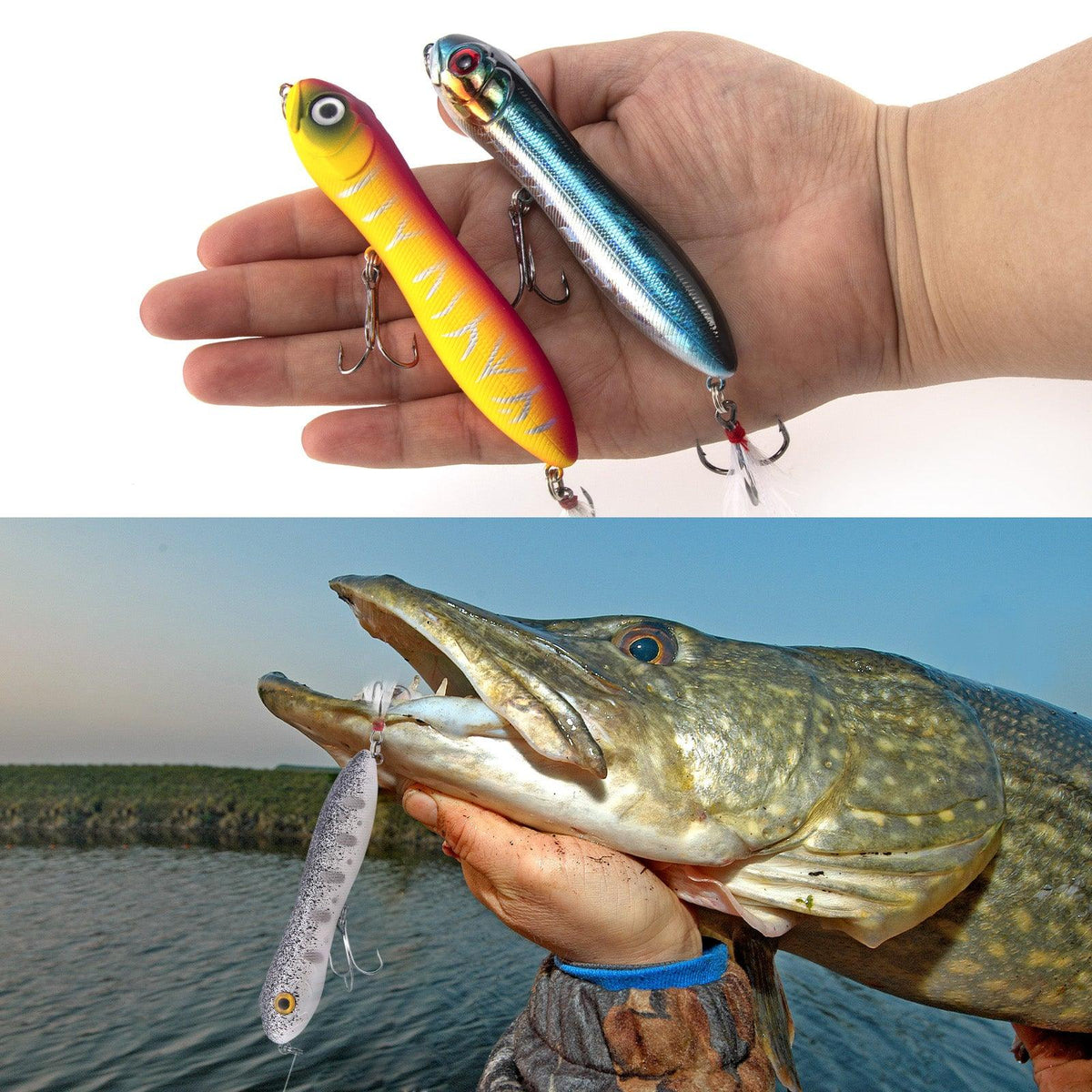 Dr.Fish 6pcs Topwater Fishing Lures 4'' - Dr.Fish Tackles