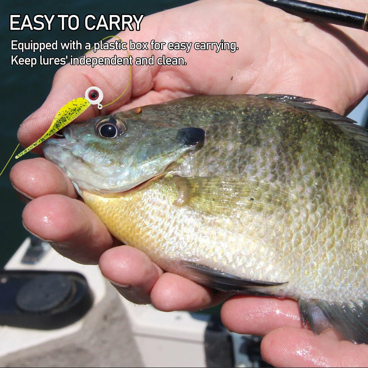 Dr.Fish 55pcs  Crappie Lures Kitï¼?5pcs jigs+40pcs Shad Baits) - Dr.Fish Tackles