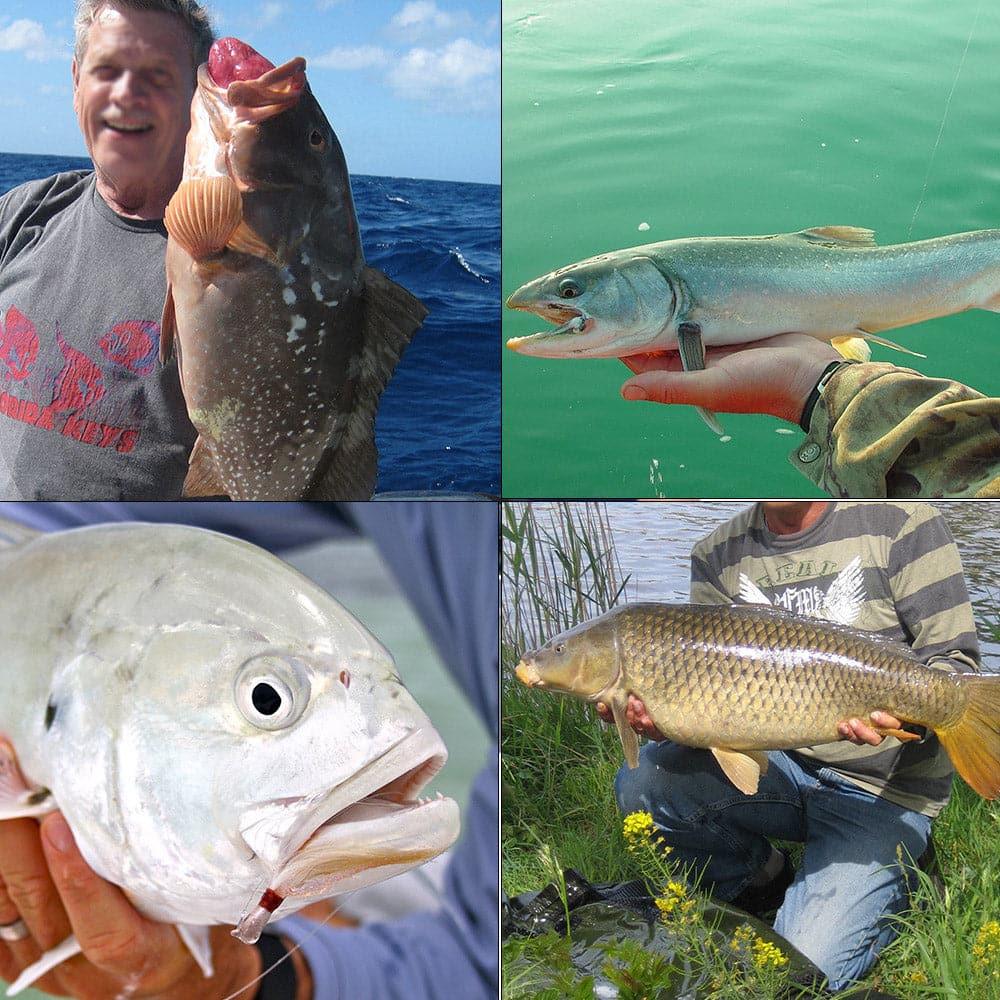 Dr.Fish 4pcs Topwater Hard Baits Kit - Dr.Fish Tackles