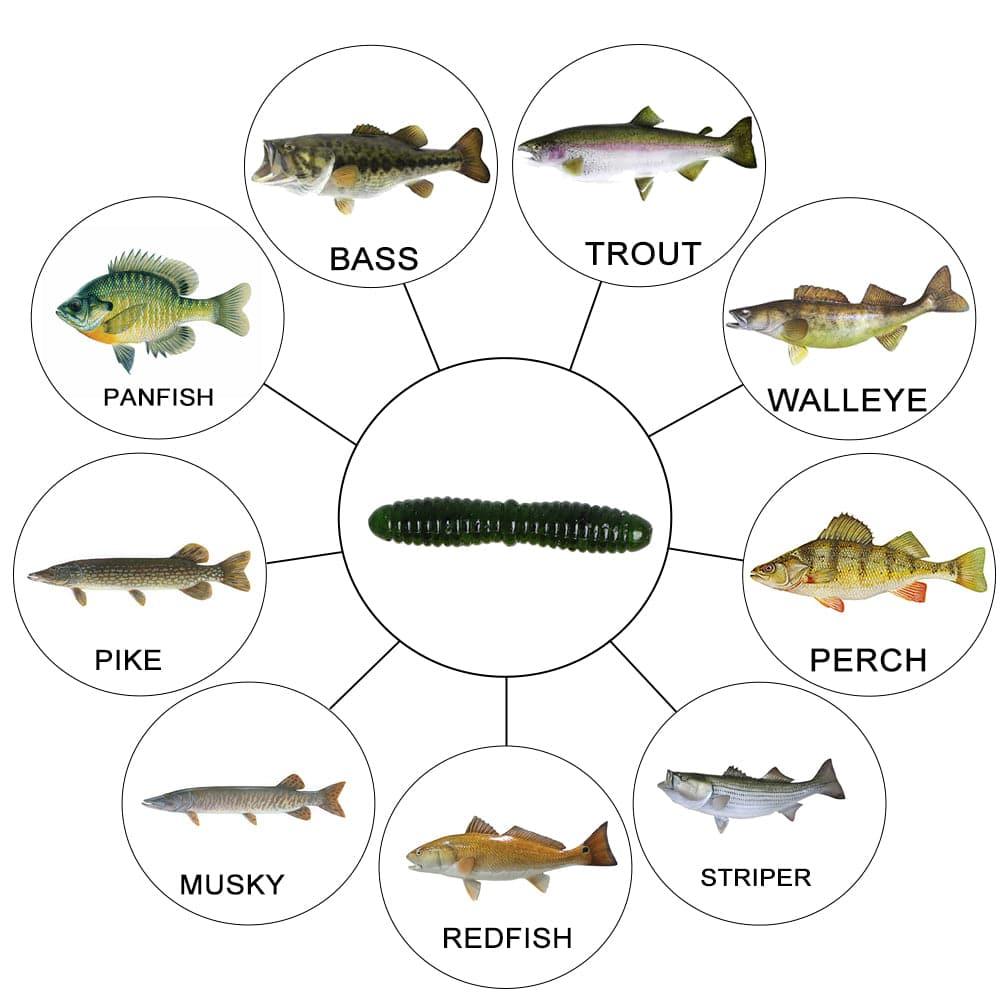Dr.Fish 15pcs Ice Fishing Soft Worms 1.38'' - Dr.Fish Tackles