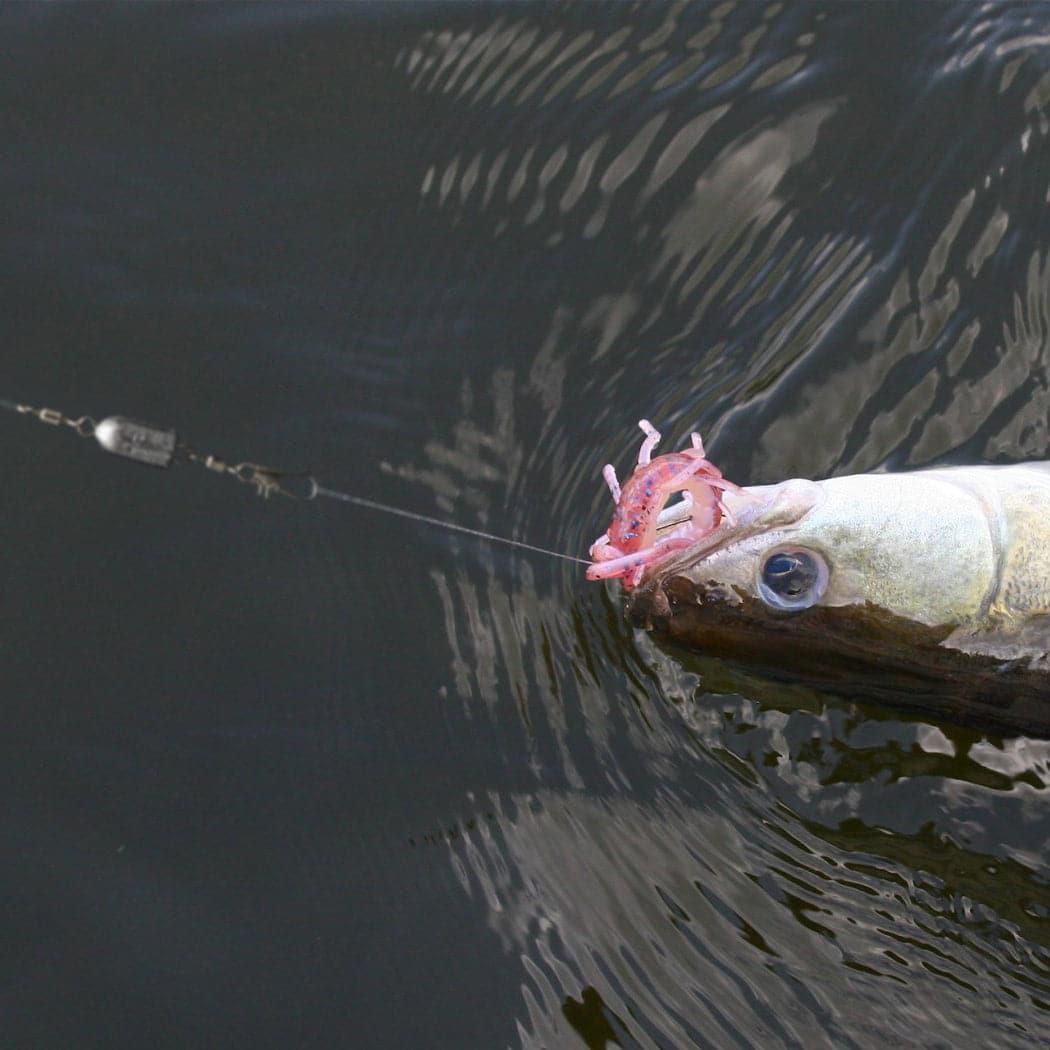 Dr.Fish Weighted Swivel Snap 3/10oz-1/2oz - Dr.Fish Tackles