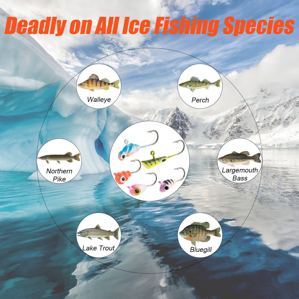 Dr.Fish Ice Fishing Jig Heads Kit - Dr.Fish Tackles