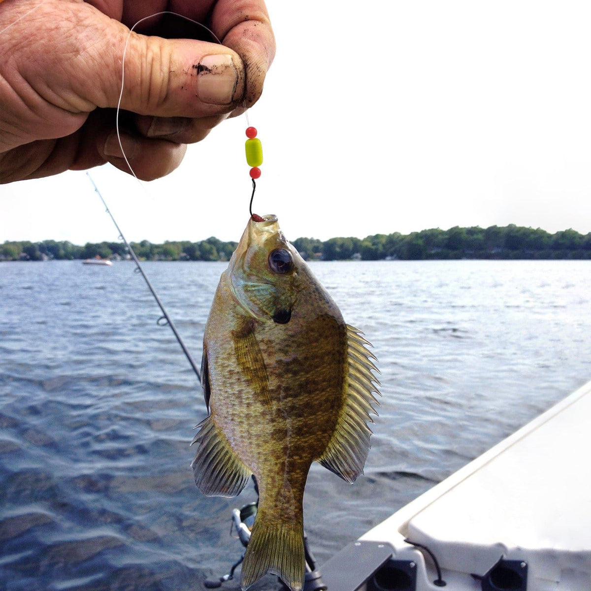 Dr.Fish 5 packs Surf Fishing Pompano Rigs - Dr.Fish Tackles