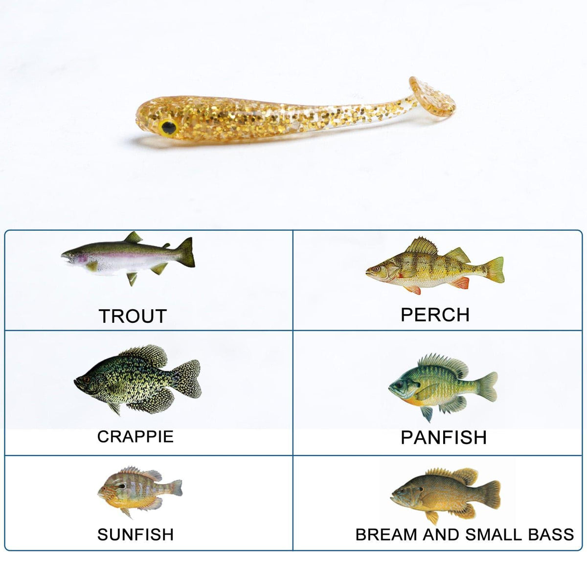 Dr.Fish 10pcs Flashing Glitter Soft Baits 1.57'' - Dr.Fish Tackles