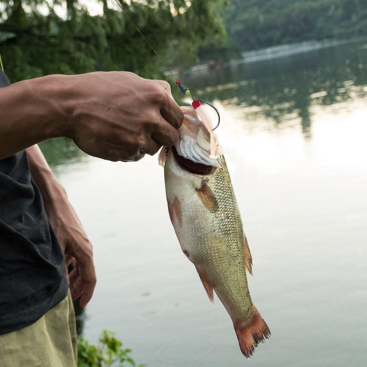 Dr.Fish 8pcs Soft Twin Tail Grubs 2.36'' - Dr.Fish Tackles