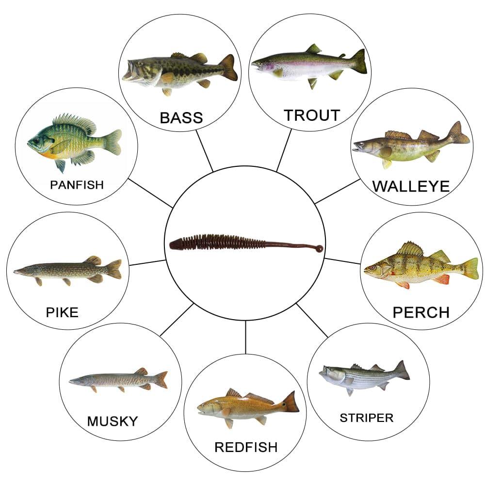 Dr.Fish 10pcs Soft Plastic Sandworms 3.15" - Dr.Fish Tackles