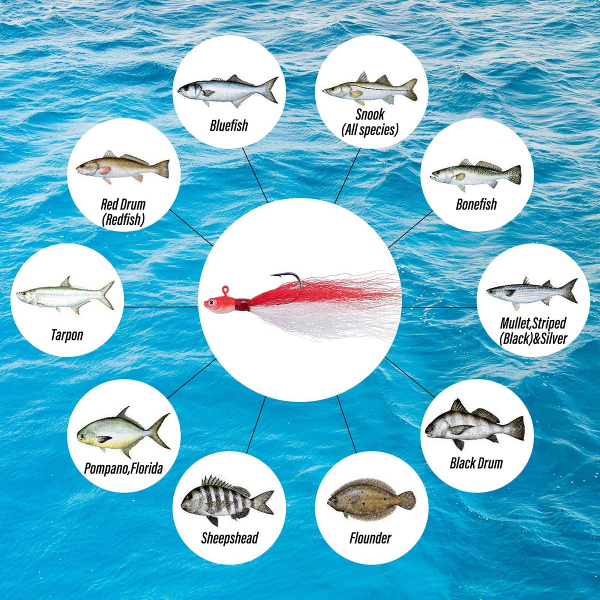 Dr.Fish 269pcs Surf Fishing Tackles Kit - Dr.Fish Tackles