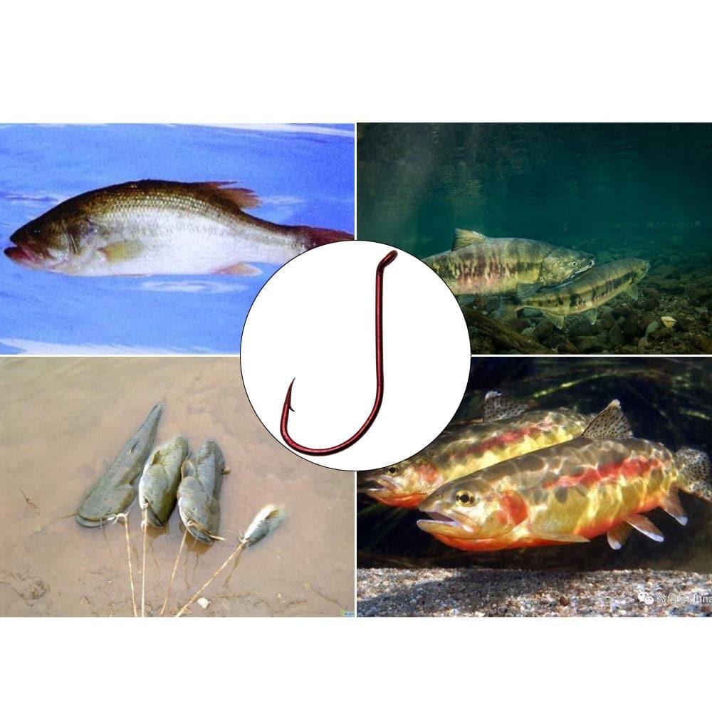 Dr.Fish 100pcs Red Octopus Hooks #2 to 5/0 - Dr.Fish Tackles