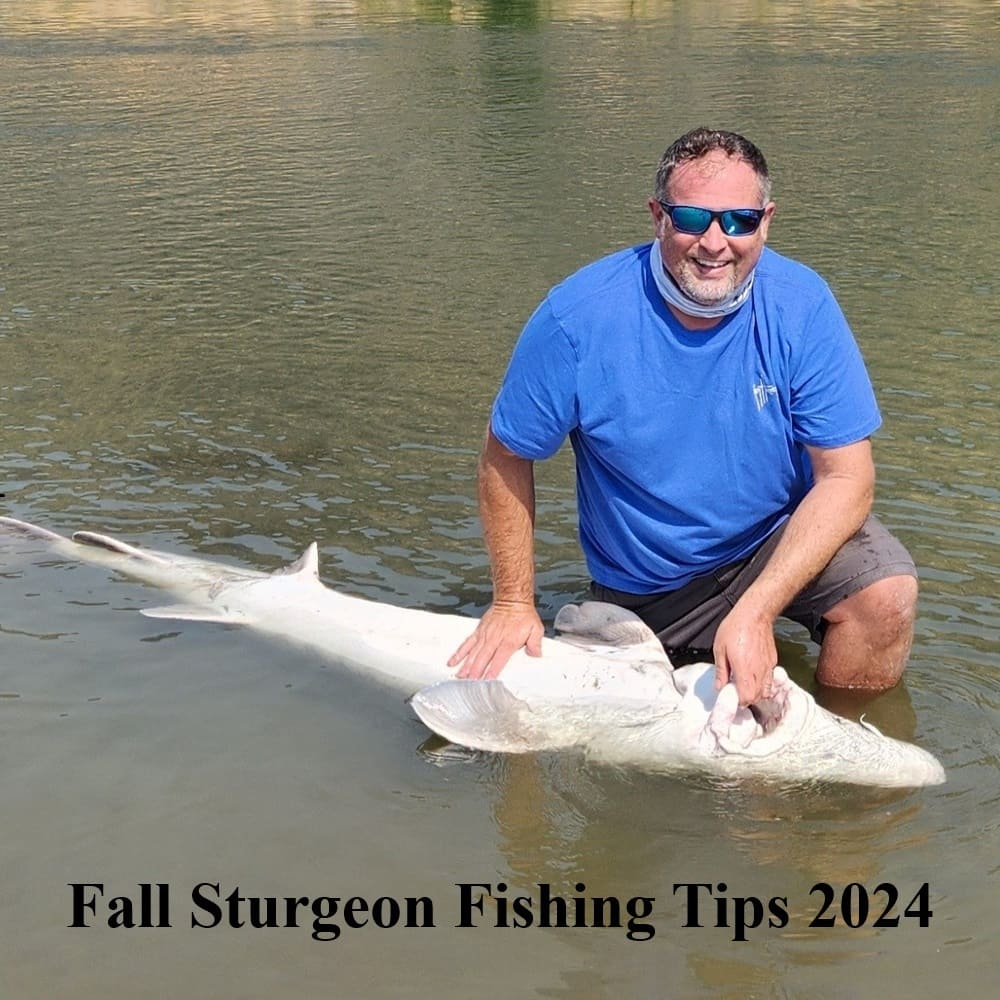 Interview with an Expert: Fall Sturgeon Fishing Tips 2024