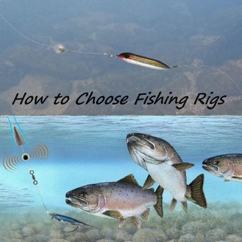 How_to_chooes_fishing_rig_dr_fish.jpg?v=1722851762&width=1024