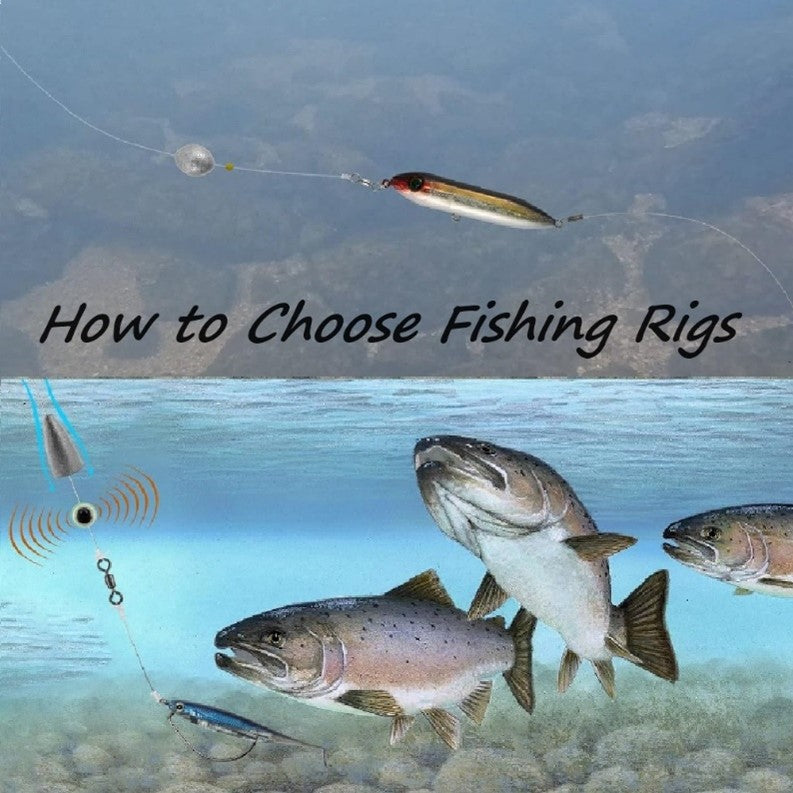 How to Choose Fishing Rigs: 9 Fishing Rigs Help You Catch More Fish