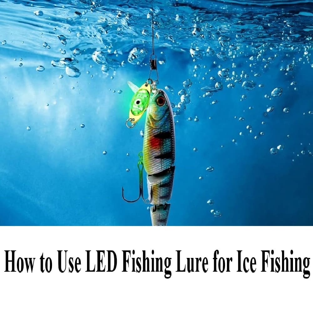 How to Use LED Fishing Lure for Ice Fishing