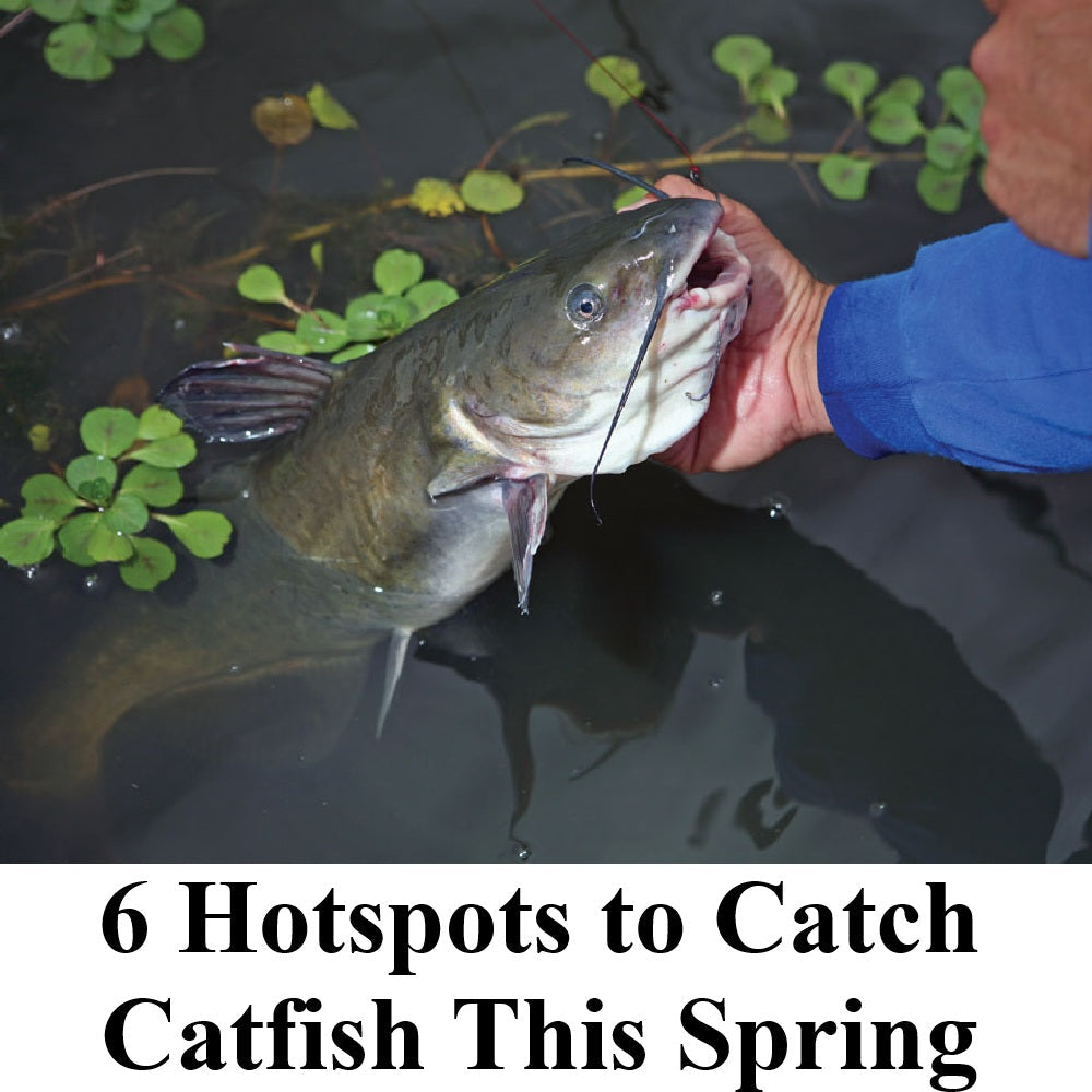 6 Hotspots to Catch Catfish This Spring