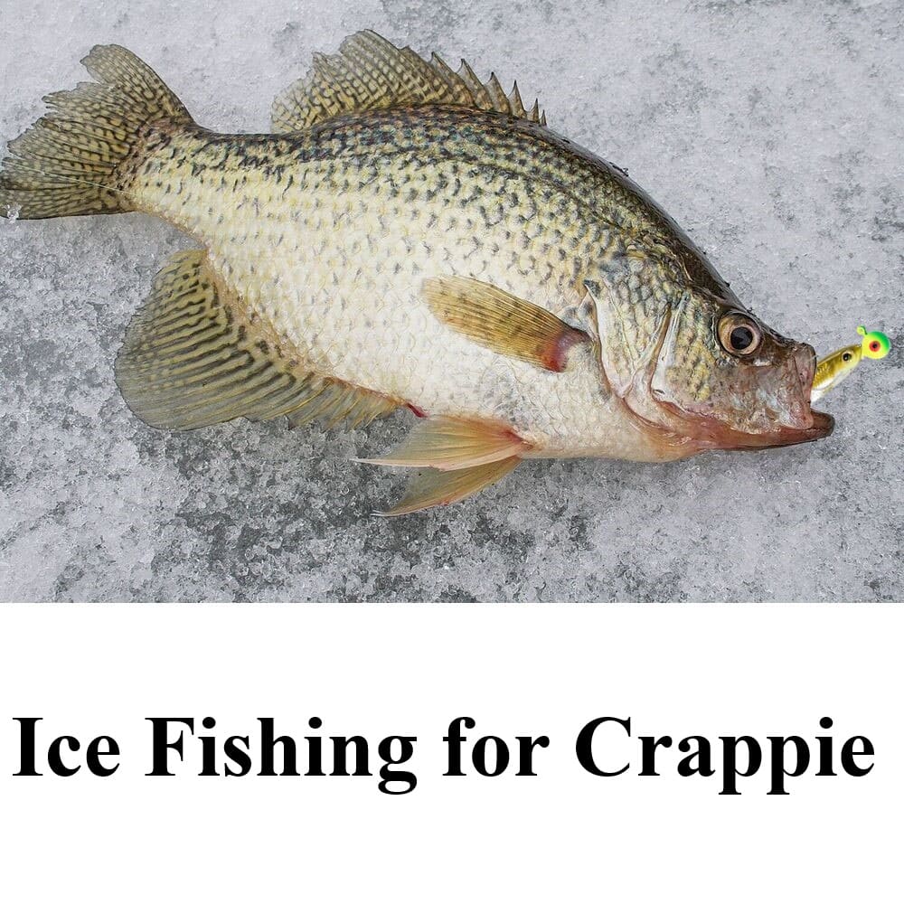 Ice Fishing for Crappie & Workable Ice Fishing Crappie Jigs