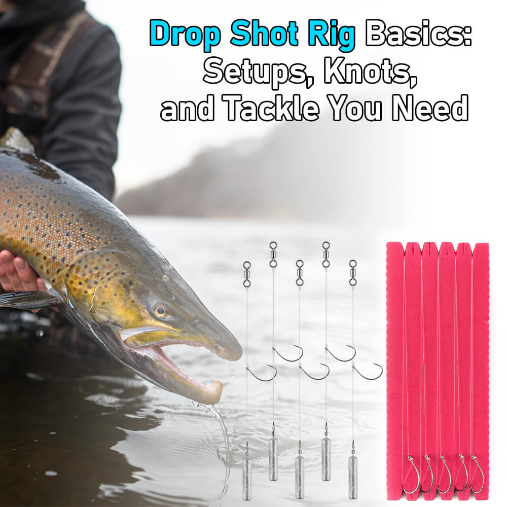 drop-shot-rig_a87a32b5-2825-404c-bb05-26624e4e29ff.jpg?v=1763540896 ...