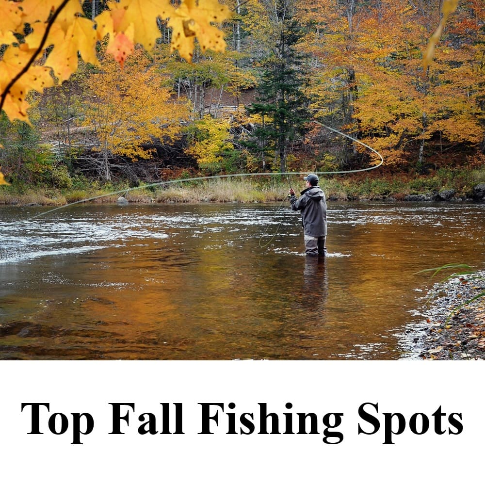 Top Fall Fishing Spots in the United States and Best Fish to Catch