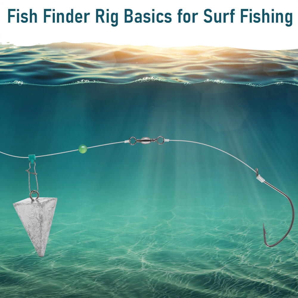 fish finder rig