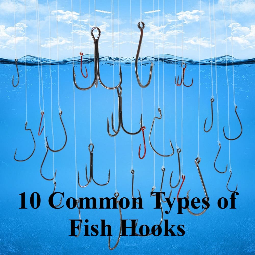 How to Choose Fishing Hooks: 10 Common Types of Fishing Hook
