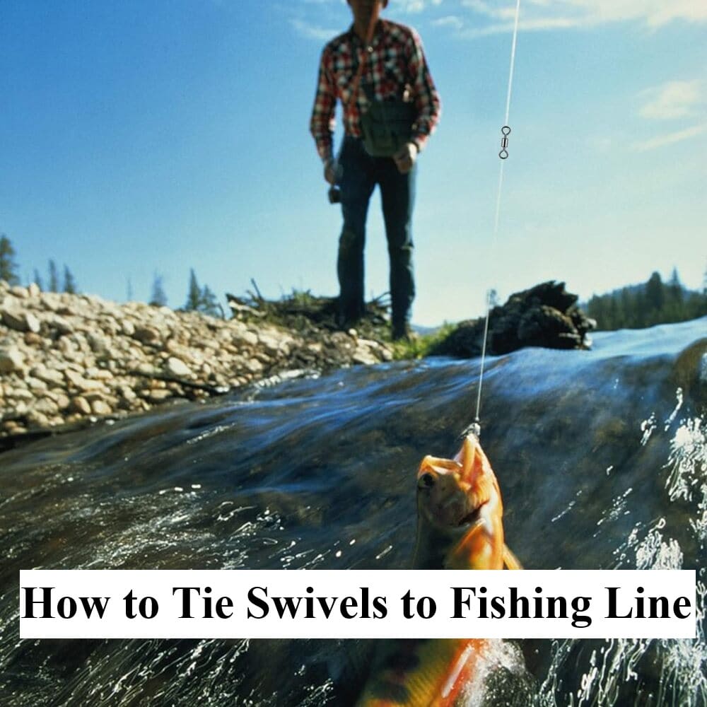 How to Tie Fishing Swivels to Fishing Line