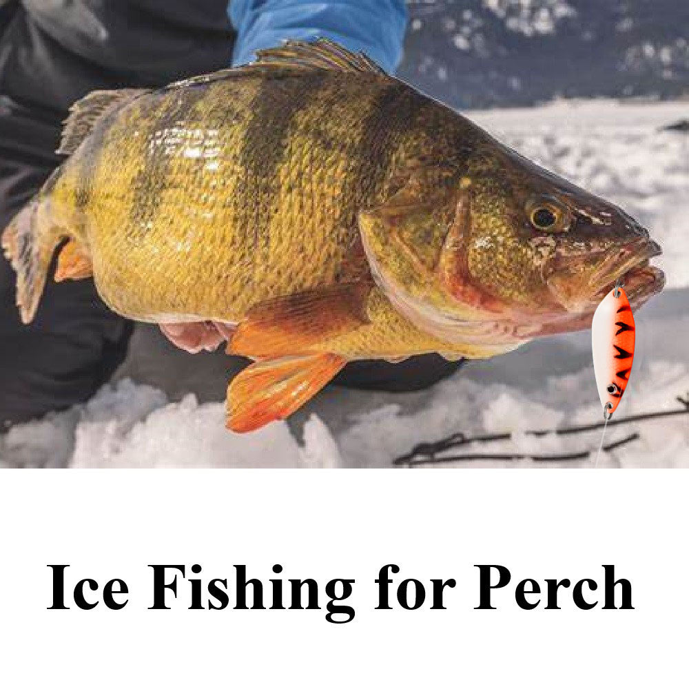 Ice Fishing for Perch & Useful Ice Fishing Lures for Perch