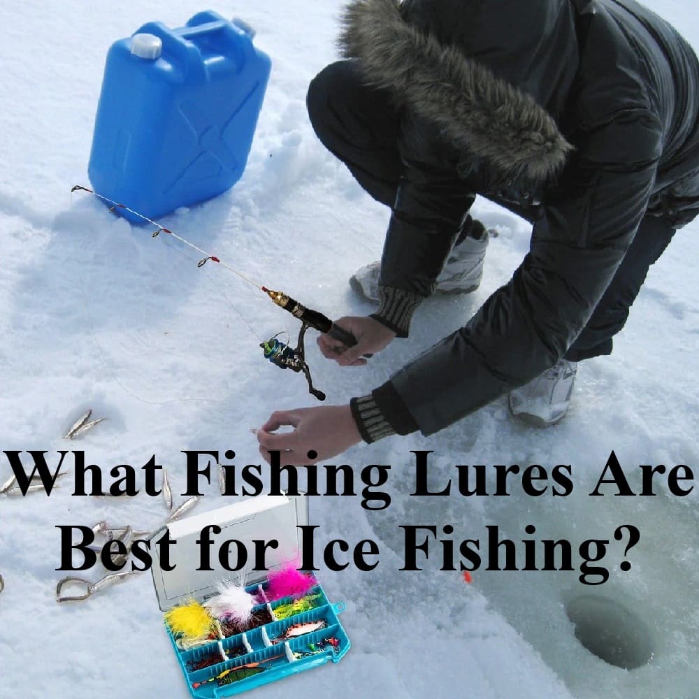 What Lures Are Best for Ice Fishing? Ice Fishing Jigs, Spoons, Live Baits