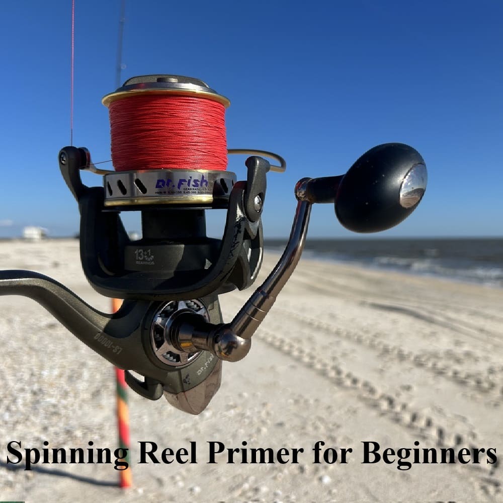 Spinning Reel Primer for Beginners