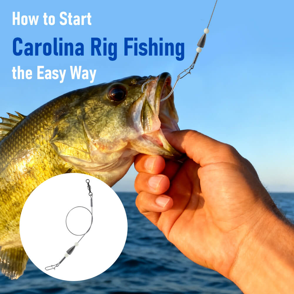 start-carolina-rig-fishing