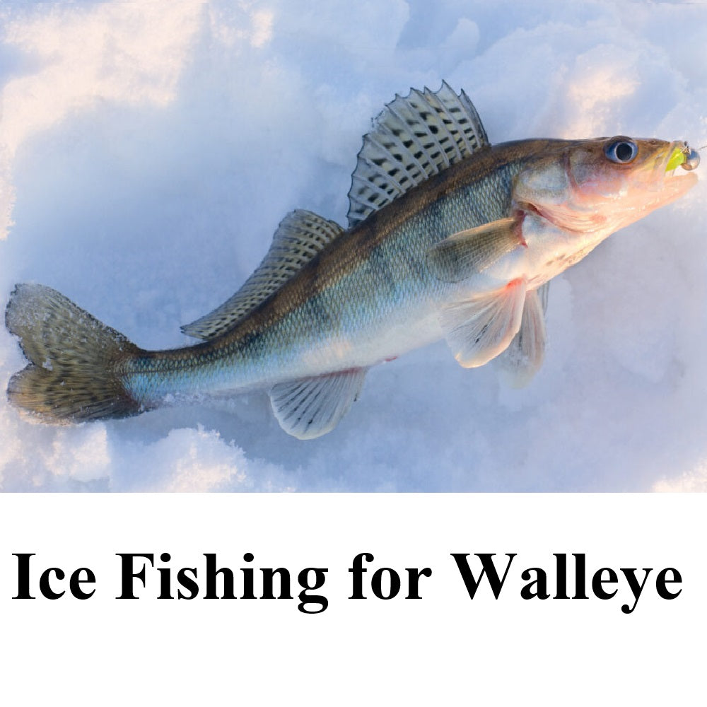 Ice Fishing for Walleye & 3 Must-have Ice Fishing Walleye Lures