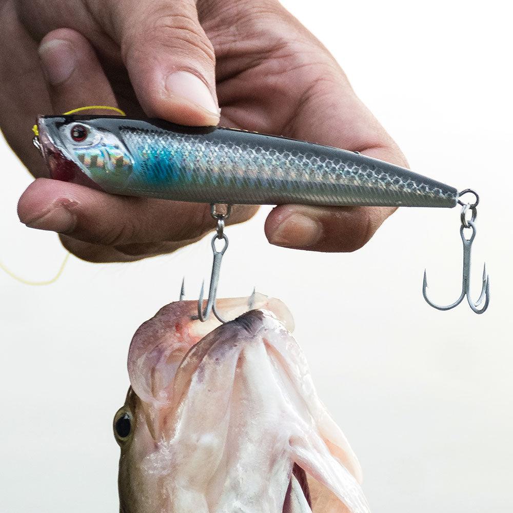 Fishing Lures