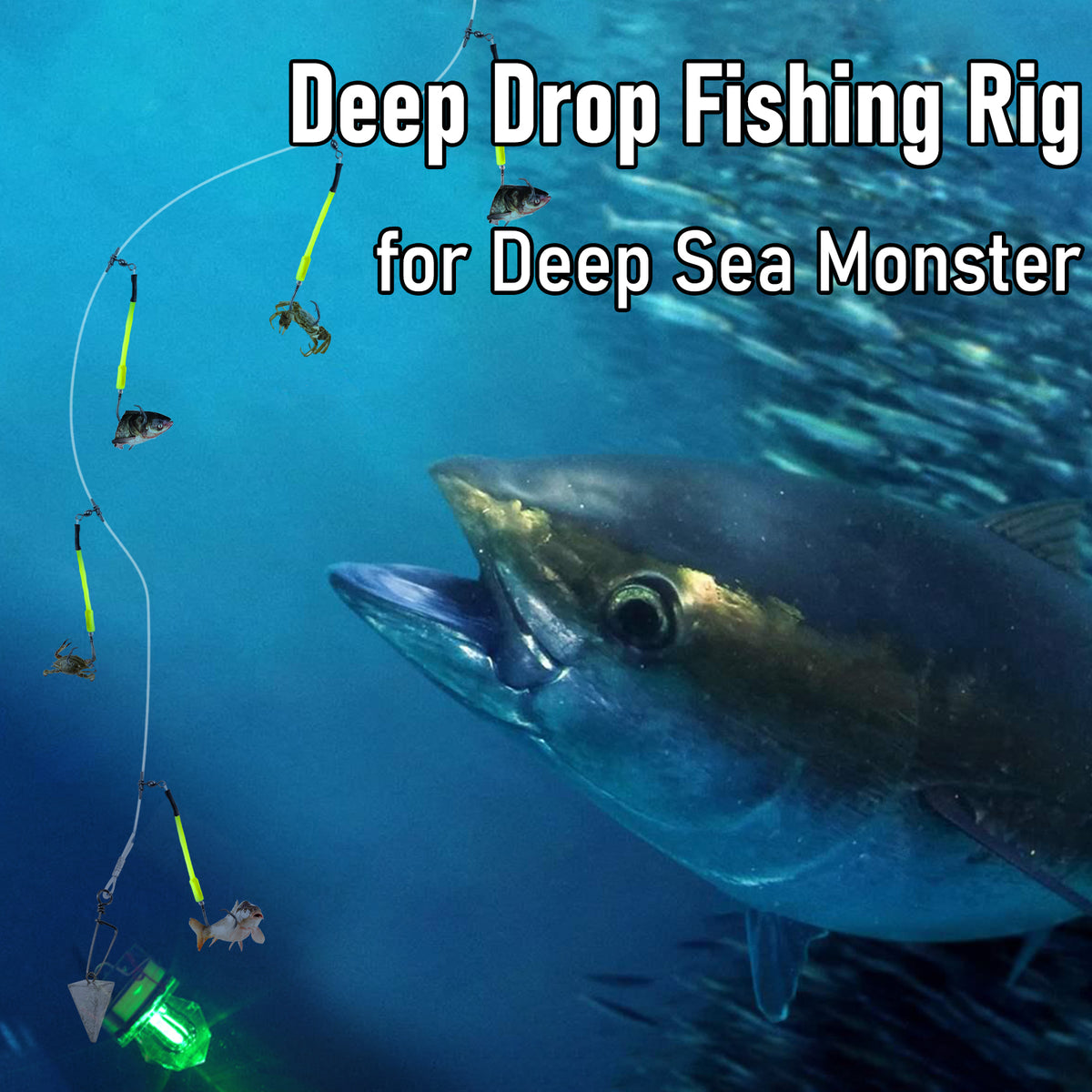 Dr.Fish 2pcs Diamond Deep Drop Snapper Rigs 6/0-9/0