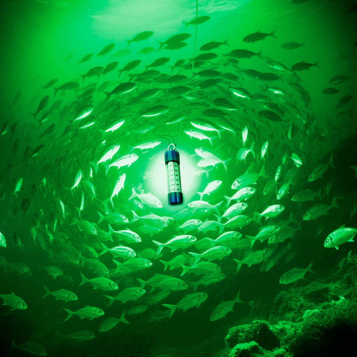Dr.Fish 15000LM LED Underwater Fishing Light