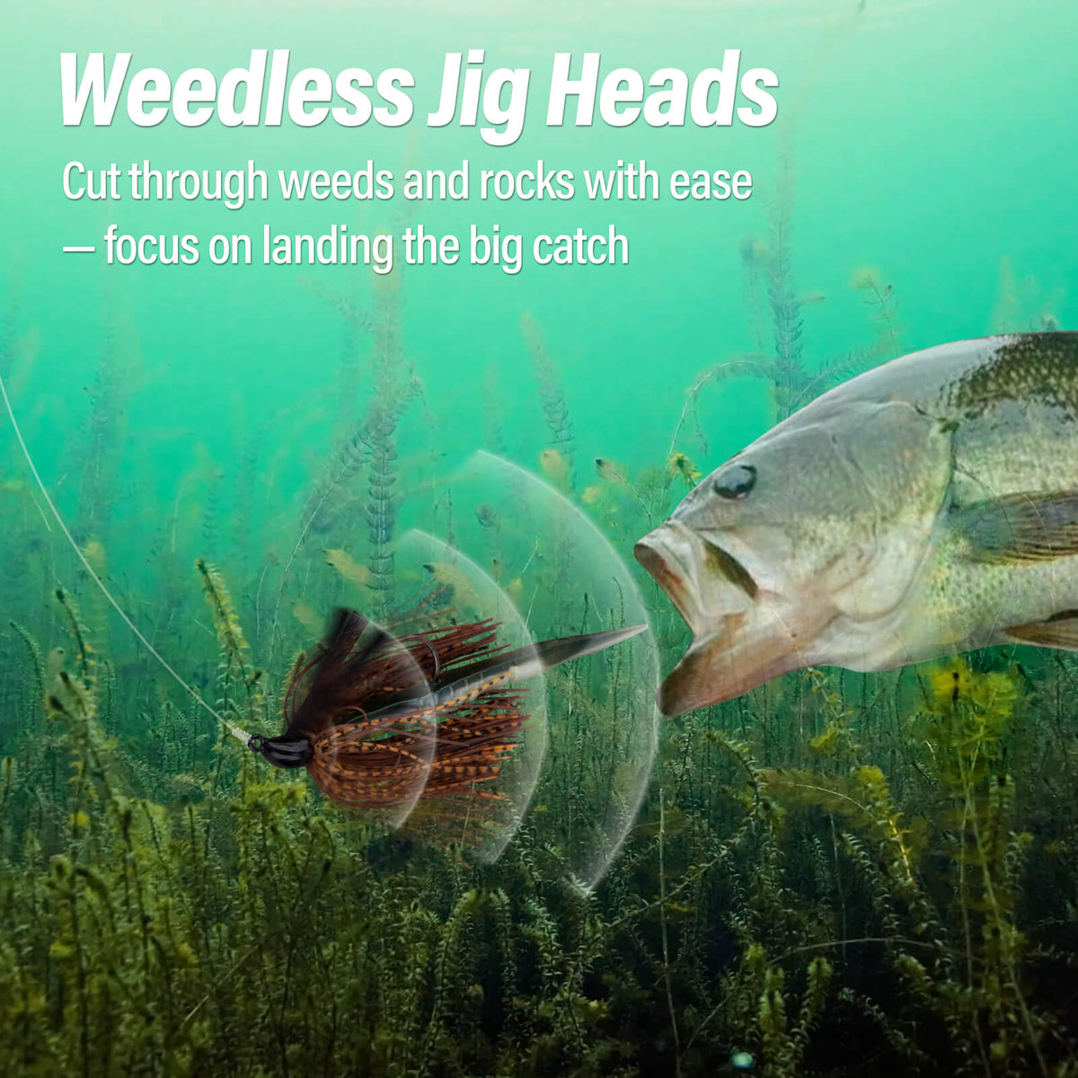 Dr.Fish 2pcs Weedless Bass Fishing Jigs