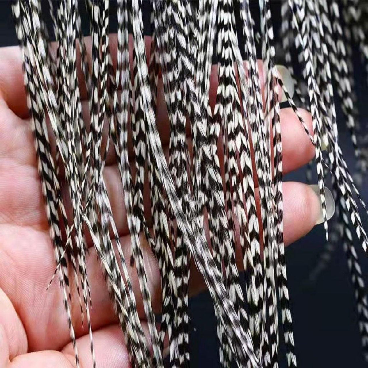 Dr.Fish 5pcs/10pcs Rooster Saddle Hackles Fly Tying Materials  25-32cm (5 colors) - Dr.Fish Tackles
