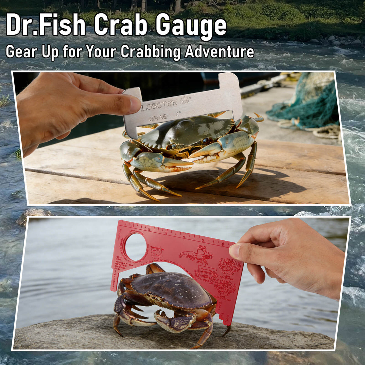 Dr.Fish Crab and Lobster Gauge