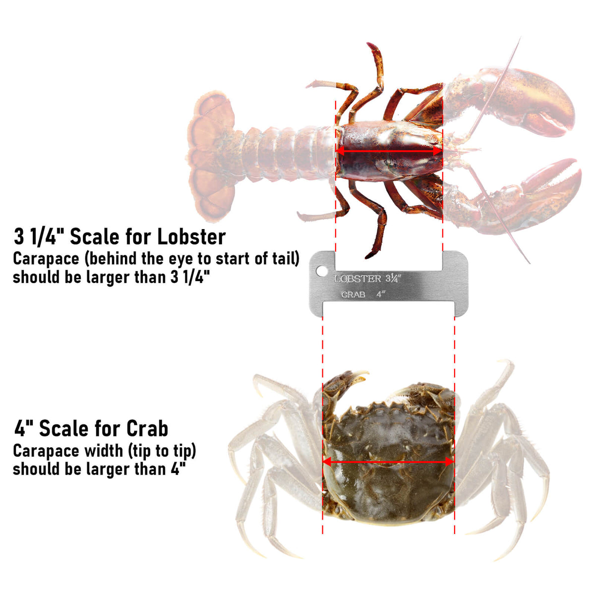 Dr.Fish Crab and Lobster Gauge