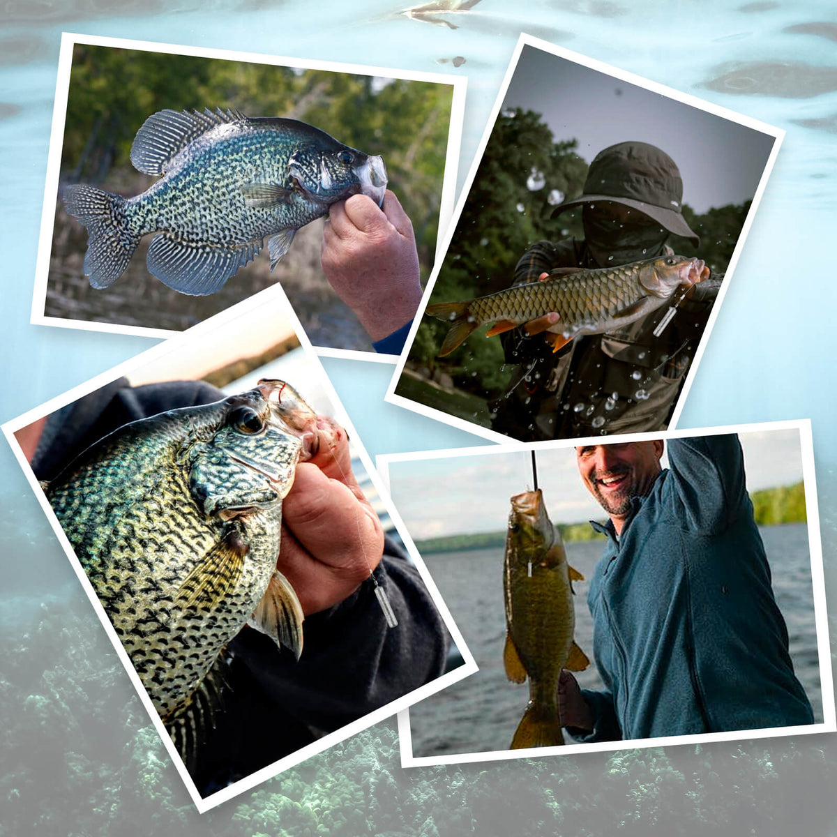 Dr.Fish 55/100 pack Dropshot Rigs Set