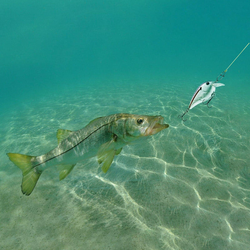 Dr.Fish 3pcs Crankbaits Lures Kit  2.7'' 3/10oz