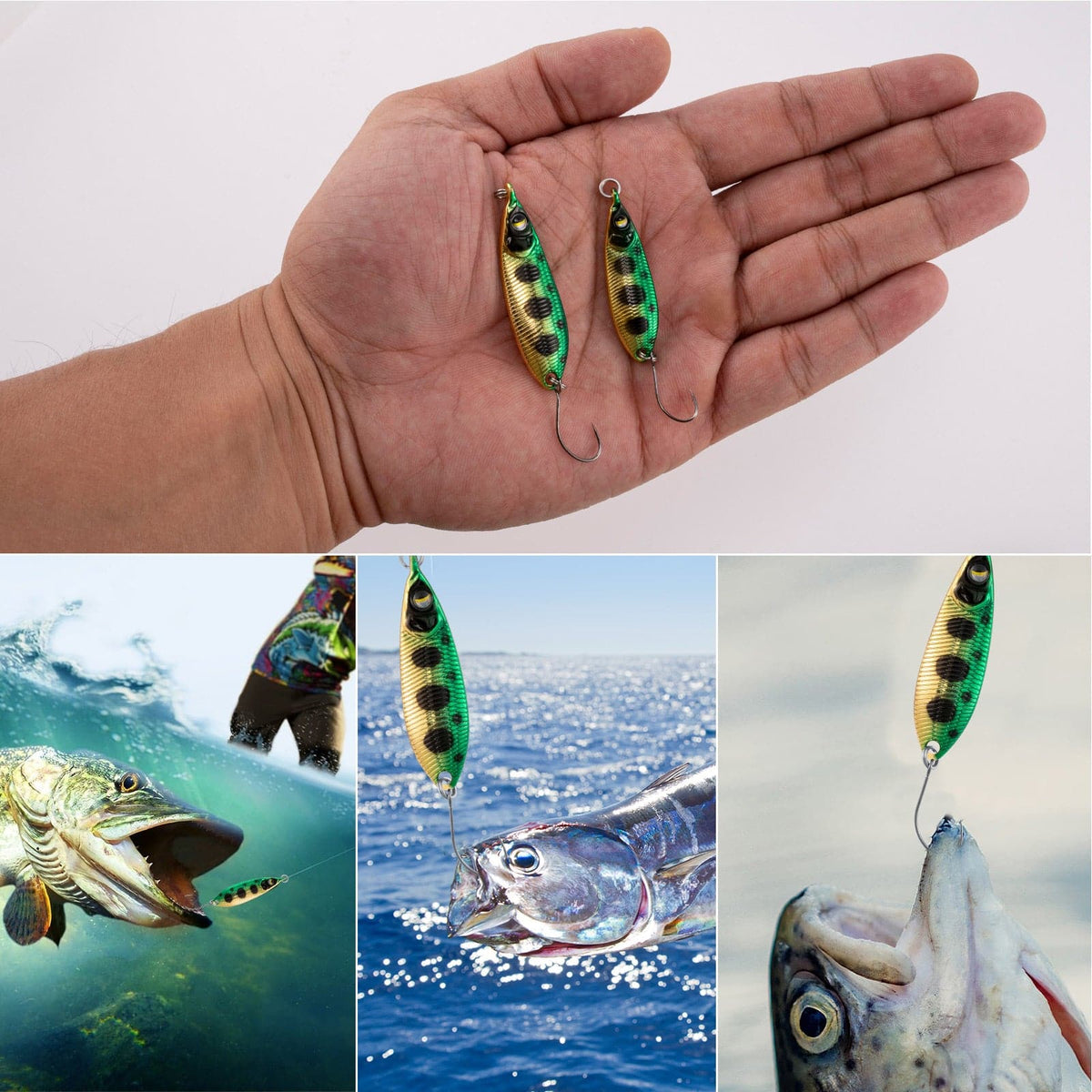 Dr.Fish 6pcs Trout Fishing Spoon Lure Kit  1/8  3/16oz