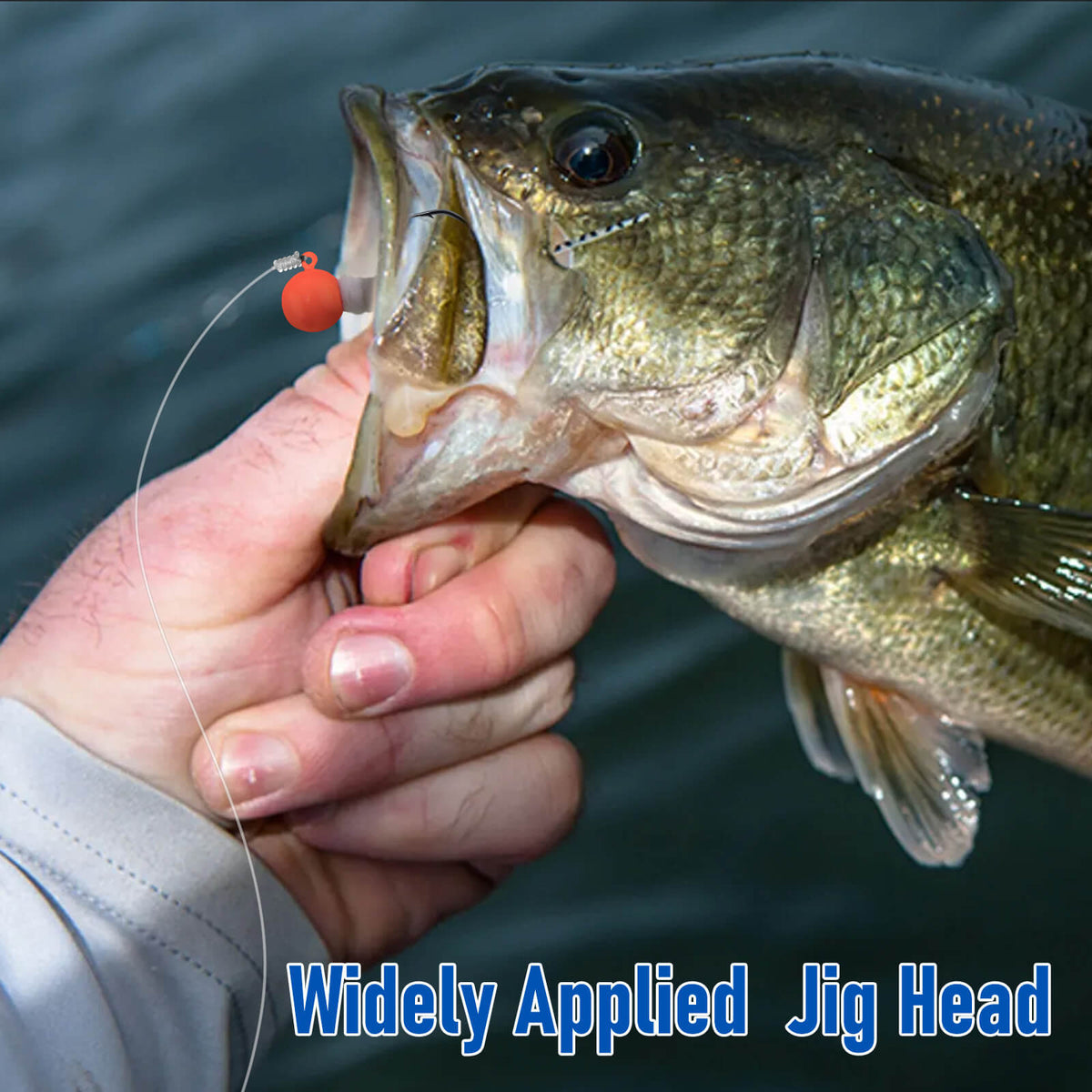 Dr.Fish 10pcs Crappie Marabou Jig heads 1/16oz-3/16oz