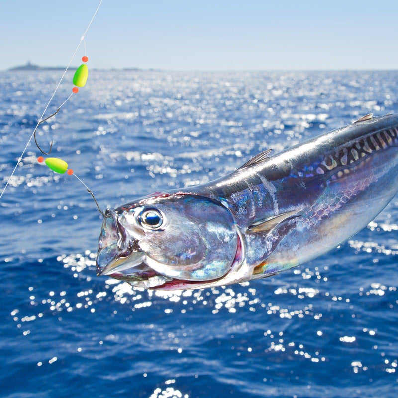 Pompano Rig Set – Pre-Tied Surf Fishing Rigs With Floats, Swivels, Snaps & Hooks, Saltwater Live Bait Rig For Beach, Pier, Jetty (2-Pack)