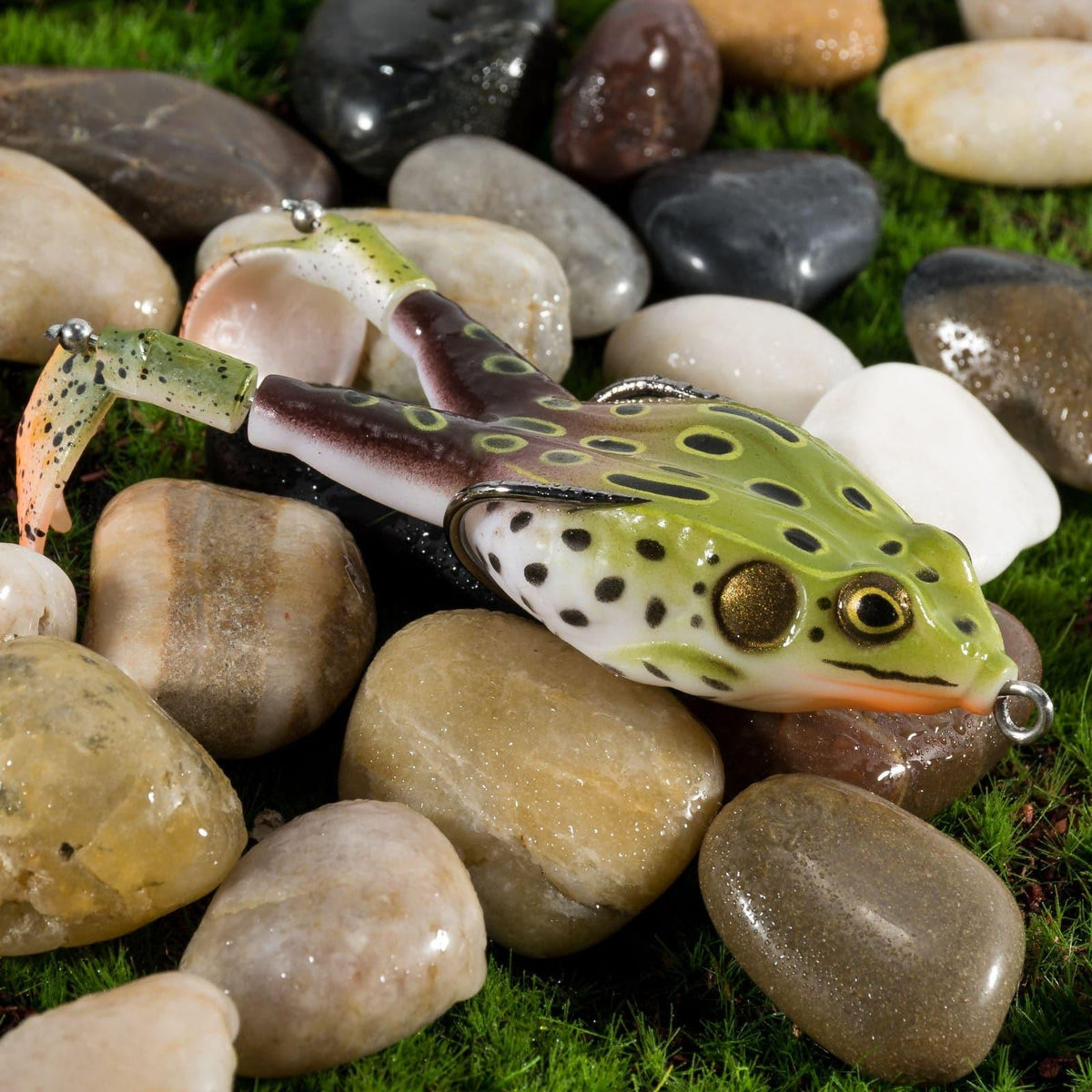 Dr.Fish 5pcs  Plastic Hollow Body Frog Topwater Lures 8.6-16g - Dr.Fish Tackles