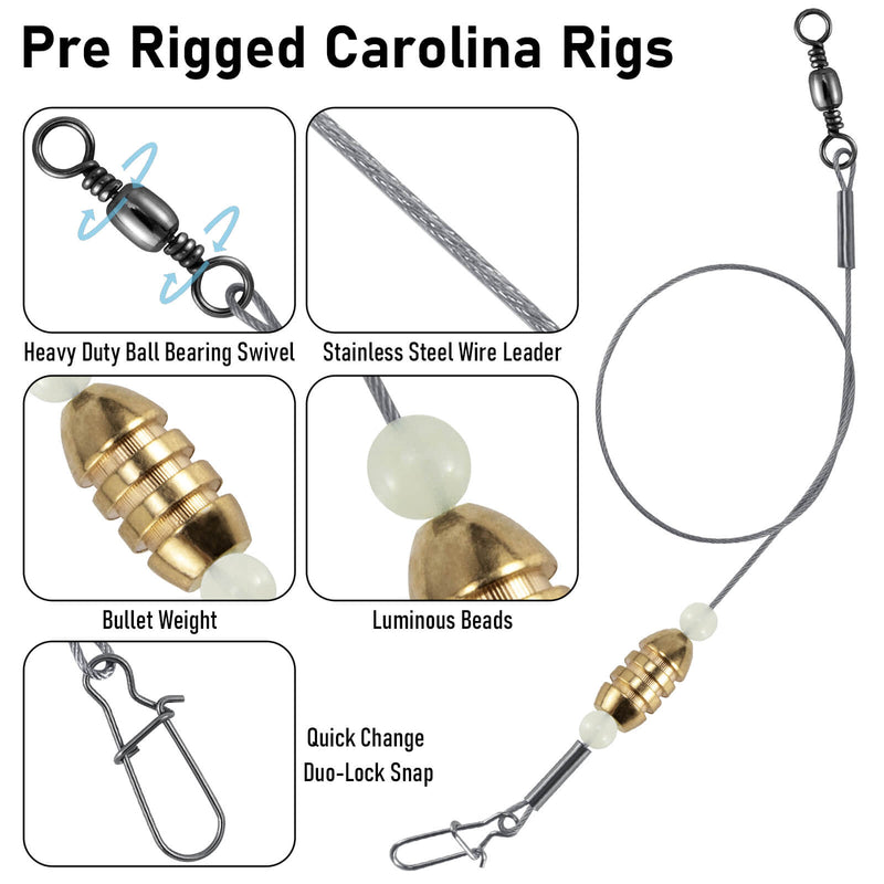 carolina-rigs-fishing-02